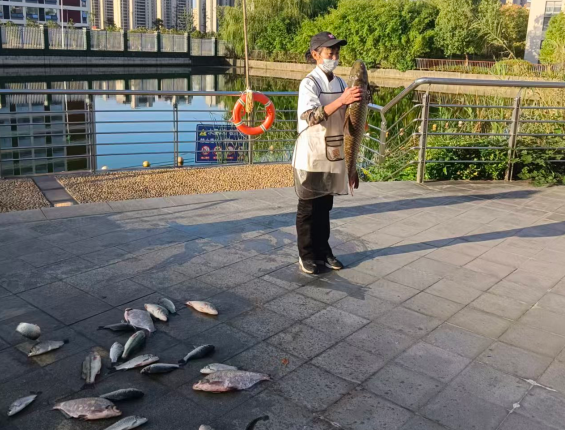 1761639085904878.png 1761639085904878.png